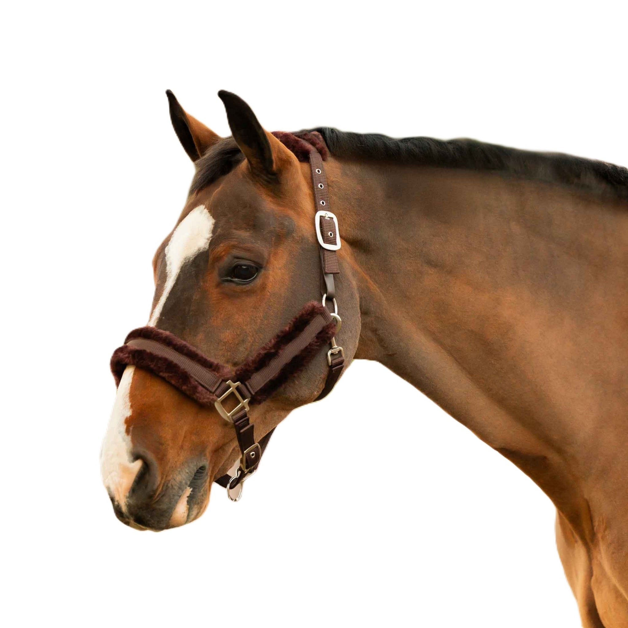 Equinavia Valkyrie Fleece Breakaway Halter