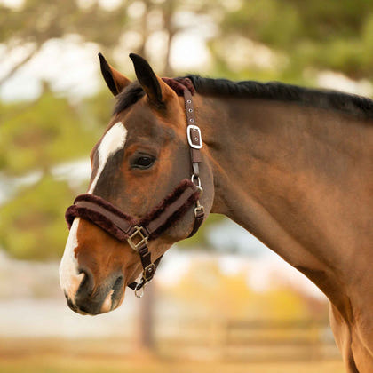 Equinavia Valkyrie Fleece Breakaway Halter