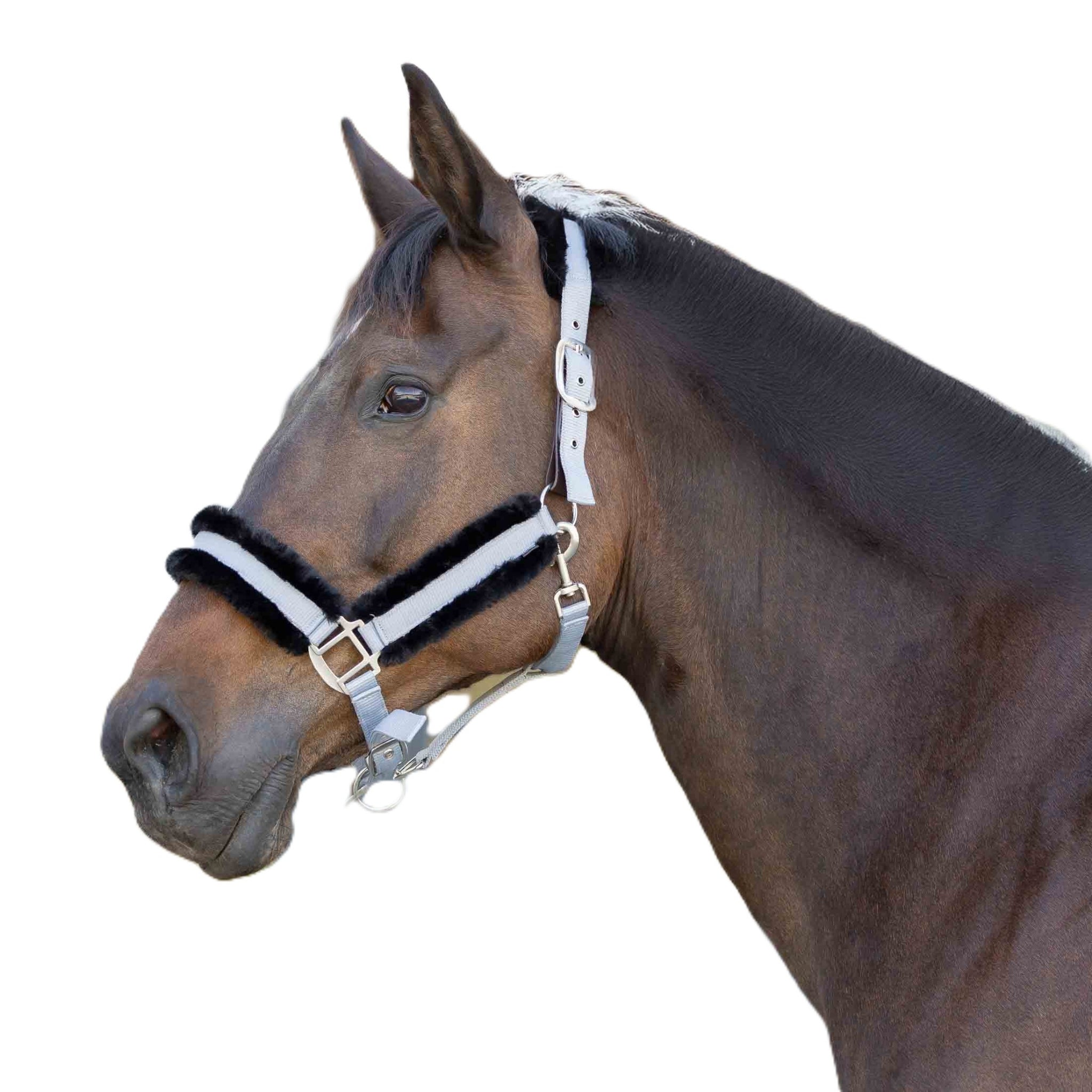 Equinavia Valkyrie Fleece Breakaway Halter