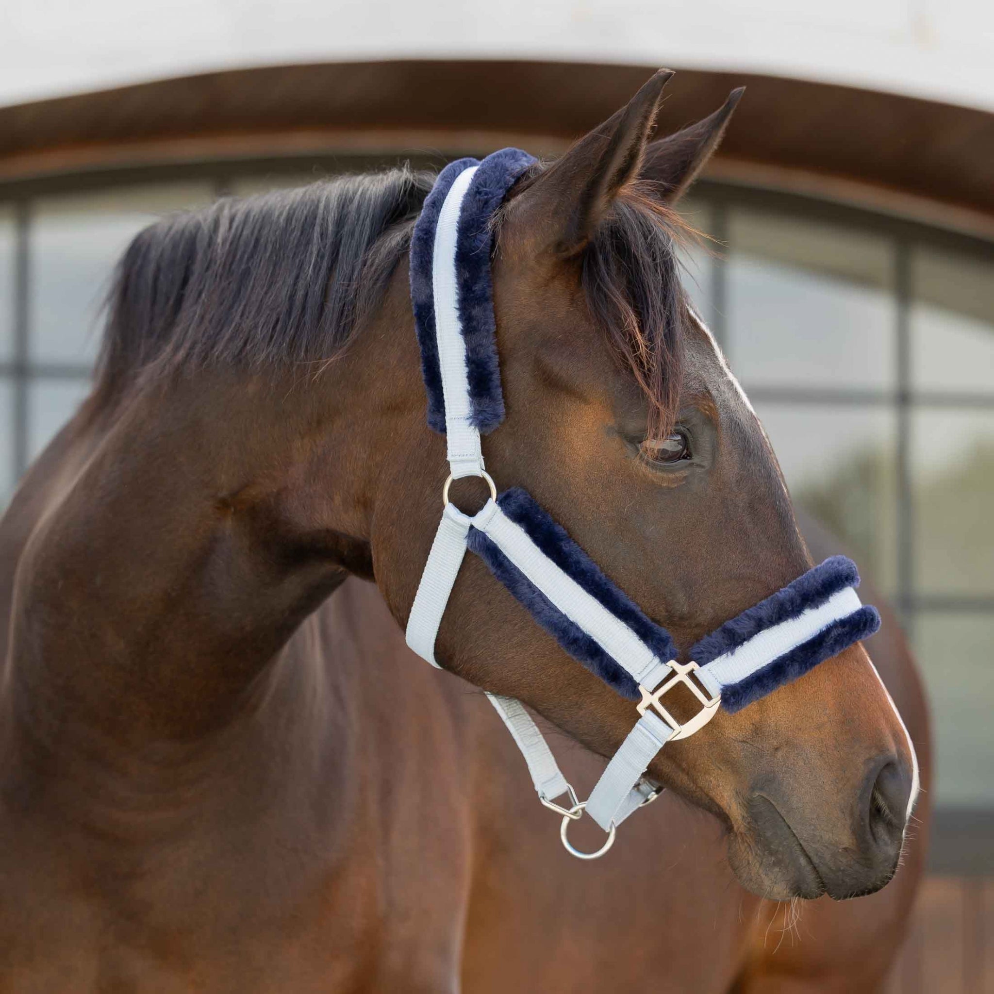 Equinavia Valkyrie Fleece Breakaway Halter