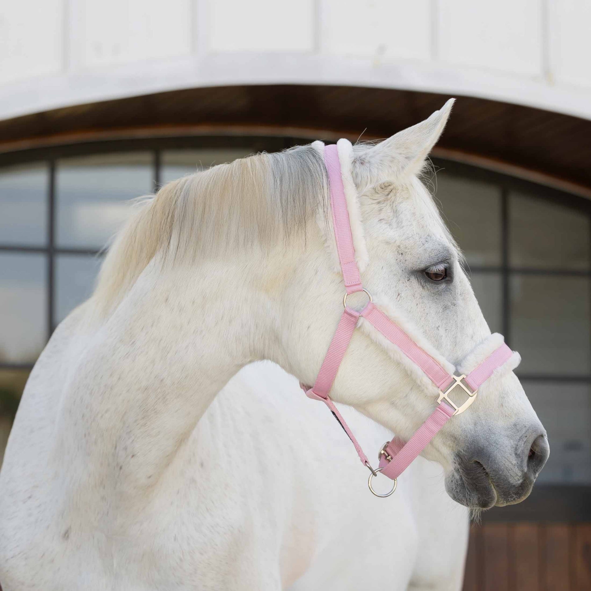 Equinavia Valkyrie Fleece Breakaway Halter