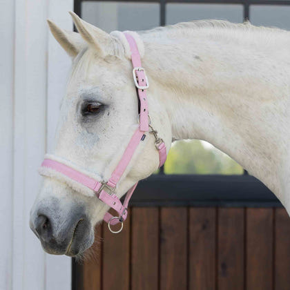 Equinavia Valkyrie Fleece Breakaway Halter