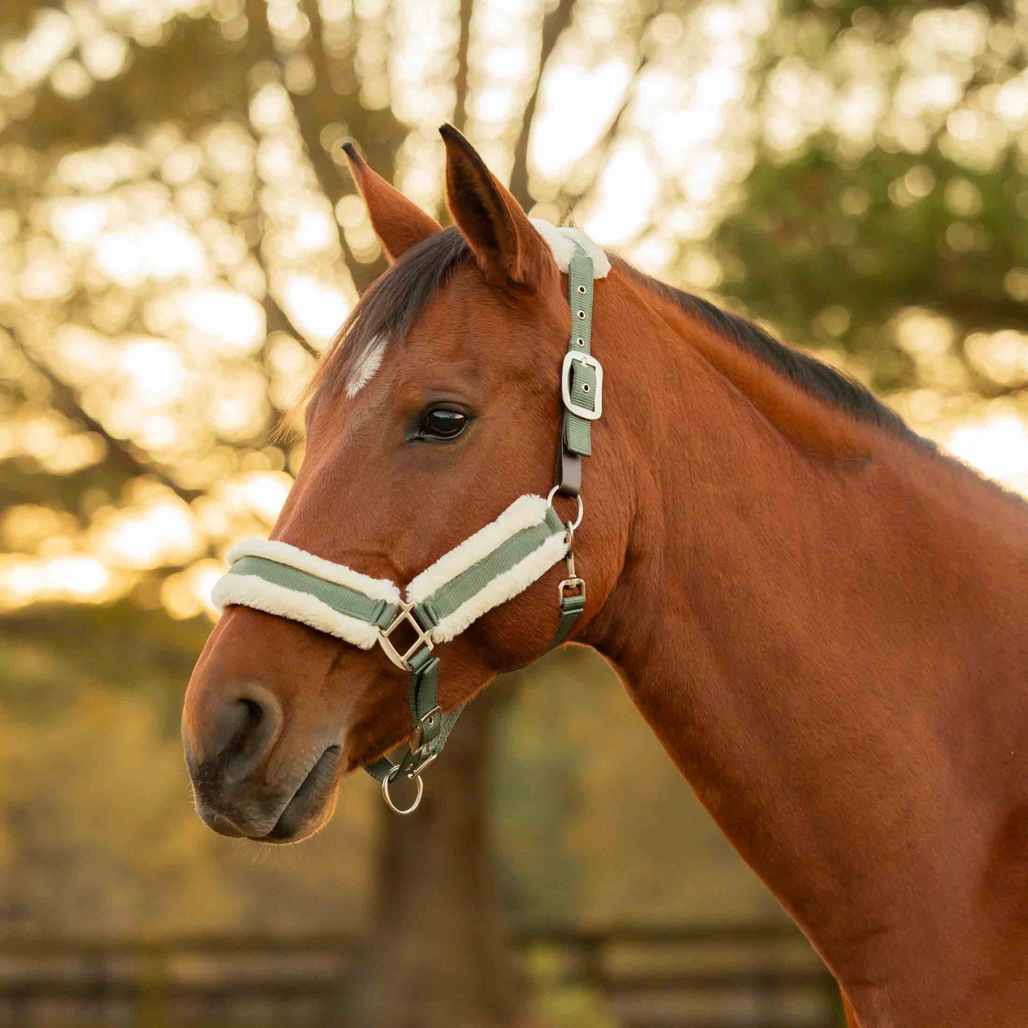 Equinavia Valkyrie Fleece Breakaway Halter