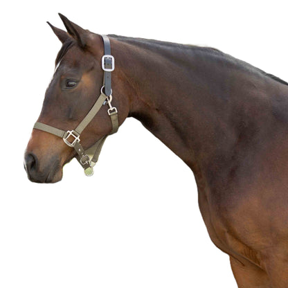 Equinavia Loki Breakaway Halter