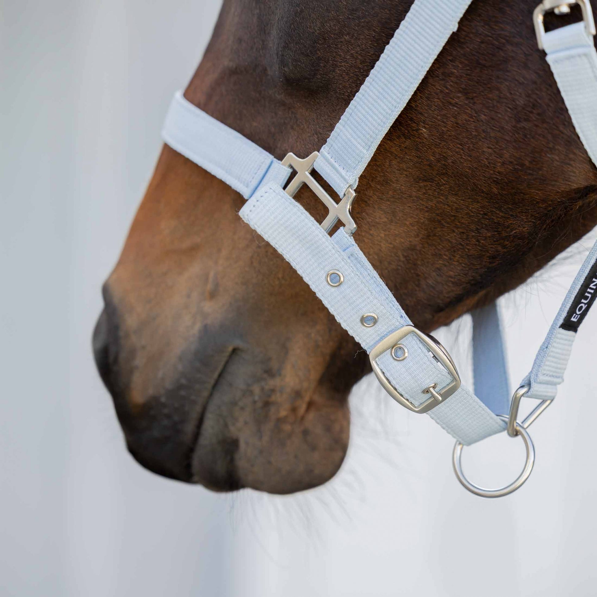 Equinavia Loki Breakaway Halter