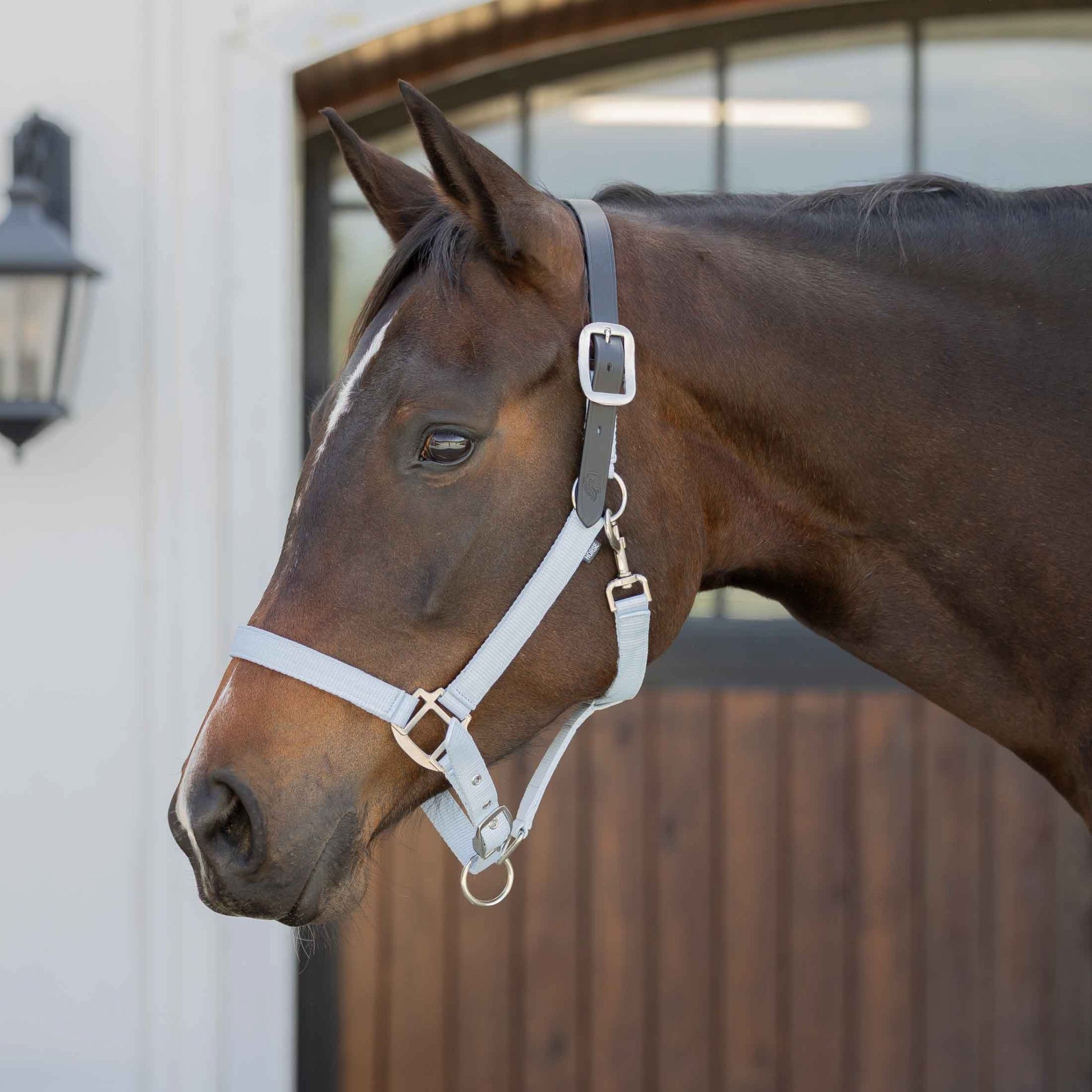 Equinavia Loki Breakaway Halter