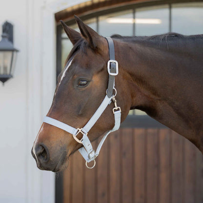 Equinavia Loki Breakaway Halter