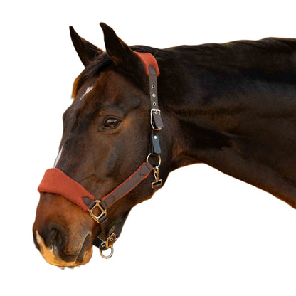Equinavia Saga Fleece Padded Breakaway Halter