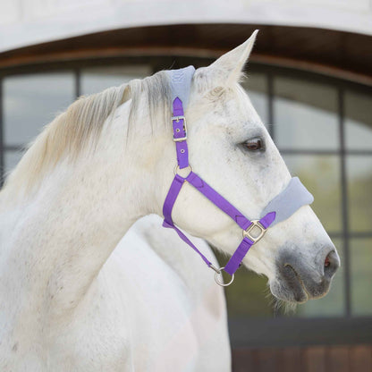 Equinavia Saga Fleece Padded Breakaway Halter