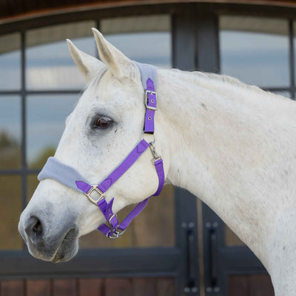 Equinavia Saga Fleece Padded Breakaway Halter