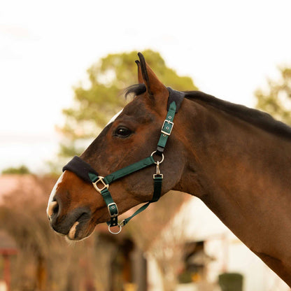 Equinavia Saga Fleece Padded Breakaway Halter