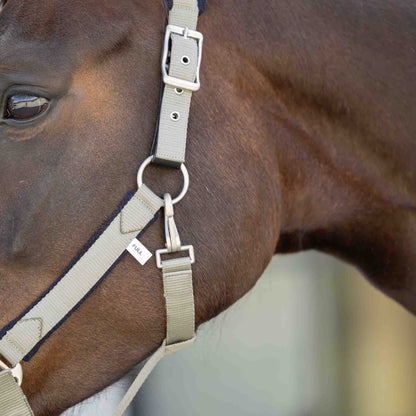 Equinavia Saga Fleece Padded Breakaway Halter