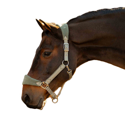 Equinavia Saga Fleece Padded Breakaway Halter