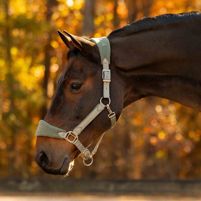Equinavia Saga Fleece Padded Breakaway Halter