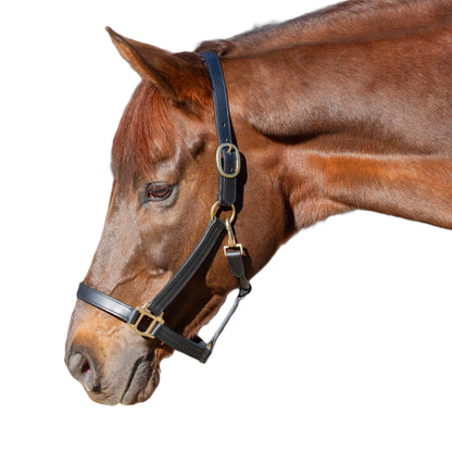 Equinavia Valkyrie Classic Leather Halter