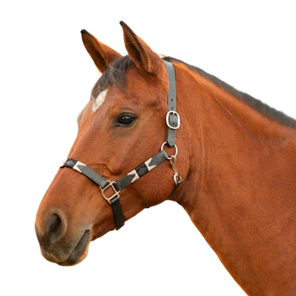 Equinavia Siri Polo Leather Halter