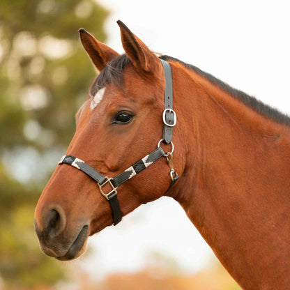 Equinavia Siri Polo Leather Halter