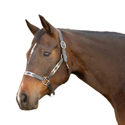 Equinavia Siri Polo Leather Halter