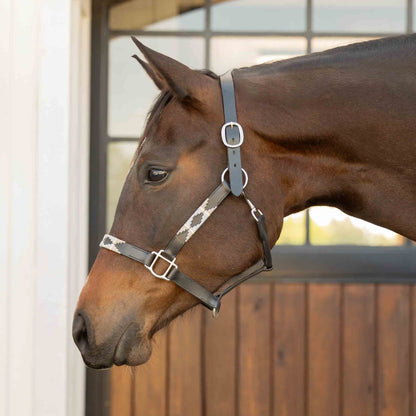 Equinavia Siri Polo Leather Halter