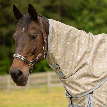 Equinavia Siri Polo Leather Halter