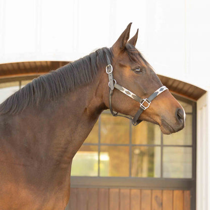 Equinavia Siri Polo Leather Halter