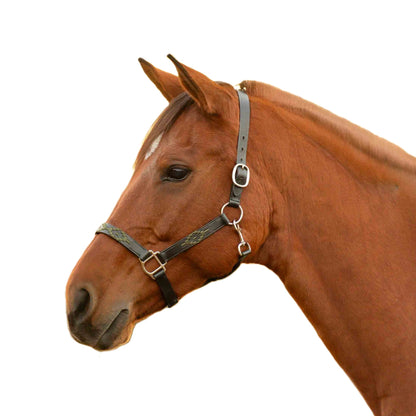 Equinavia Siri Polo Leather Halter