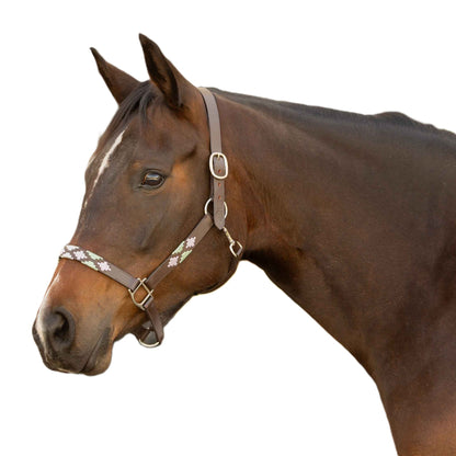 Equinavia Siri Polo Leather Halter