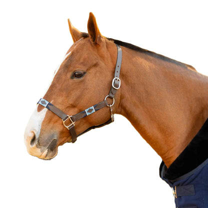 Equinavia Siri Polo Leather Halter