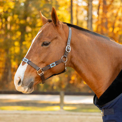 Equinavia Siri Polo Leather Halter