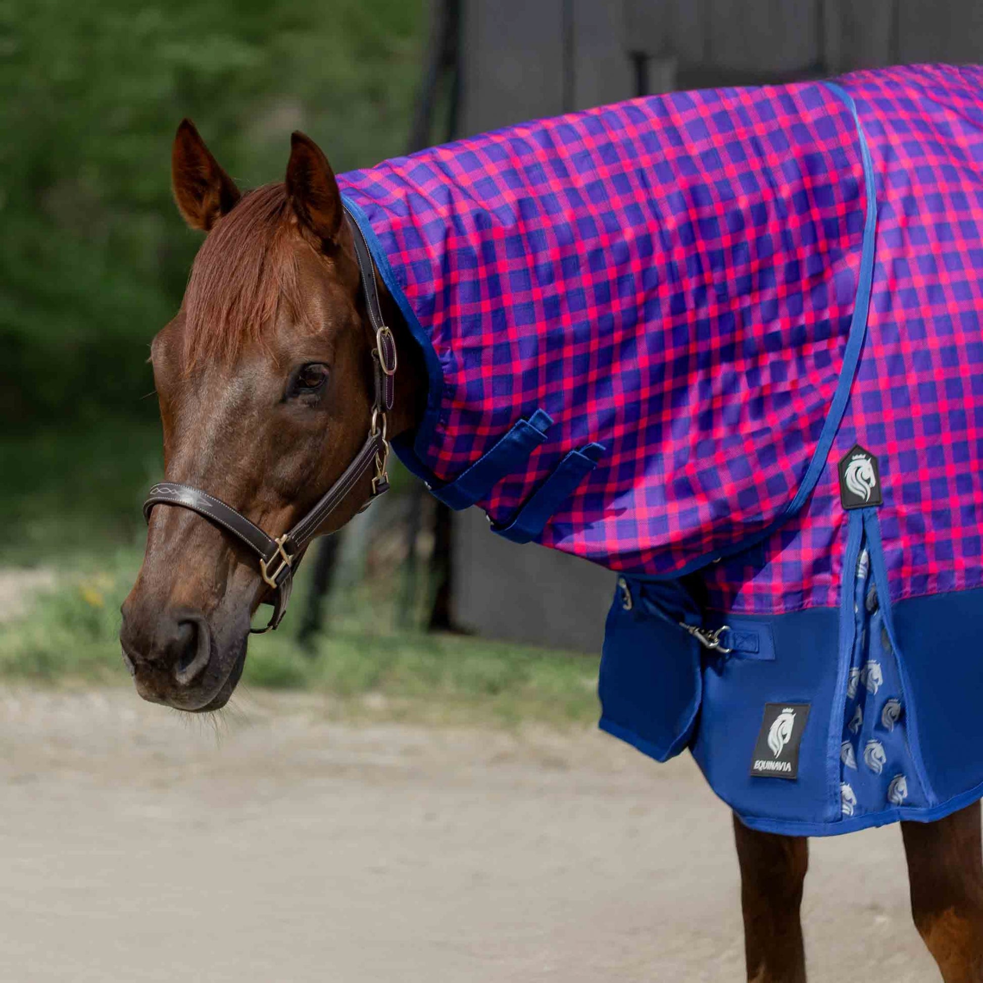 Equinavia Norse Neck Cover - No Fill