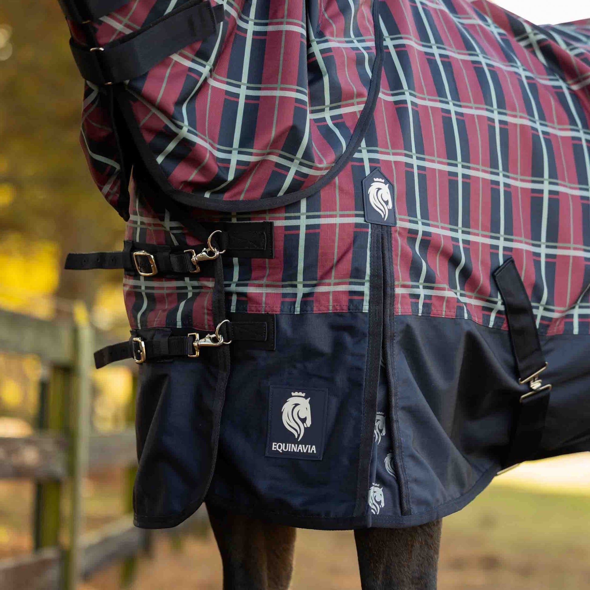 Equinavia Norse Lite Turnout Blanket 100g