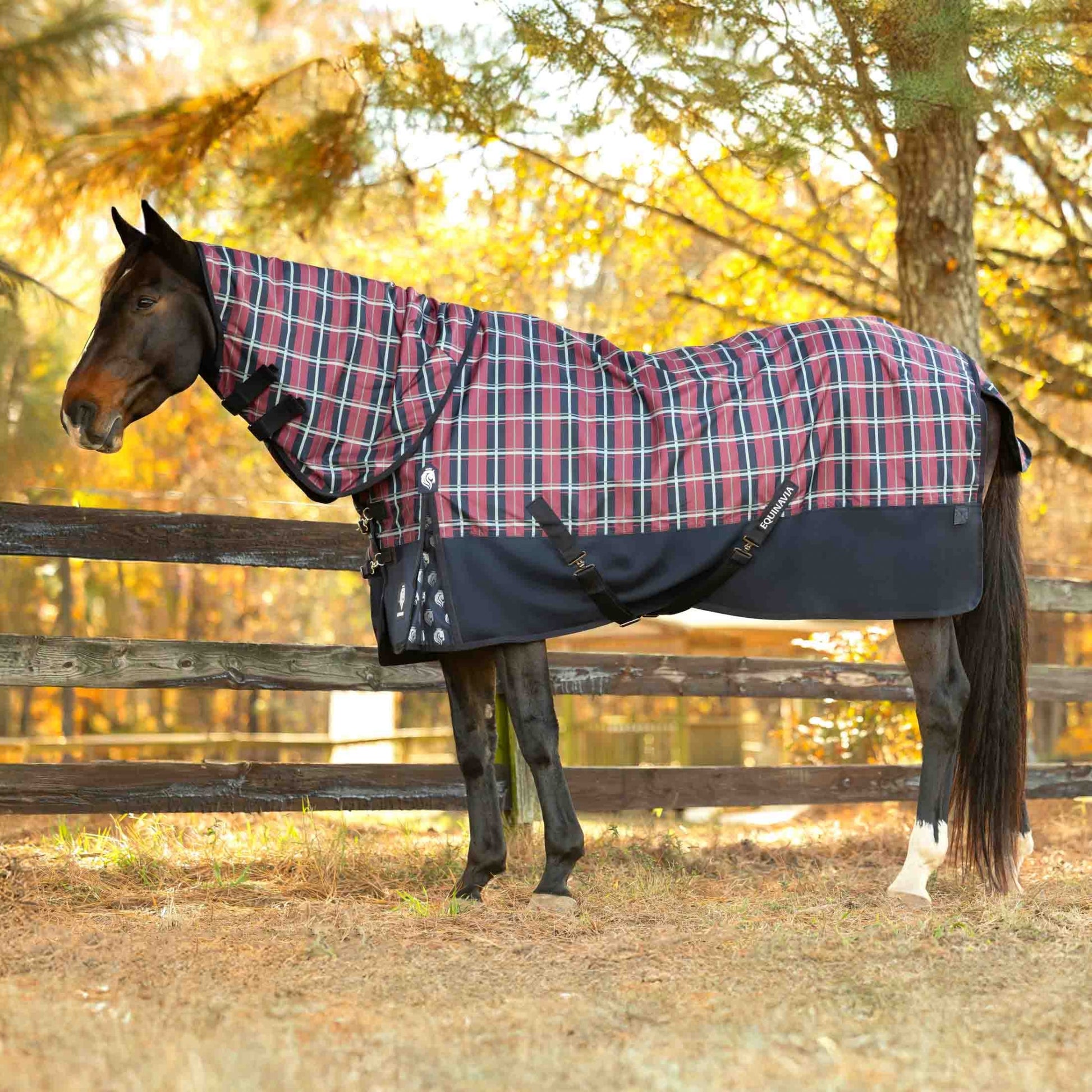 Equinavia Norse Lite Turnout Blanket 100g
