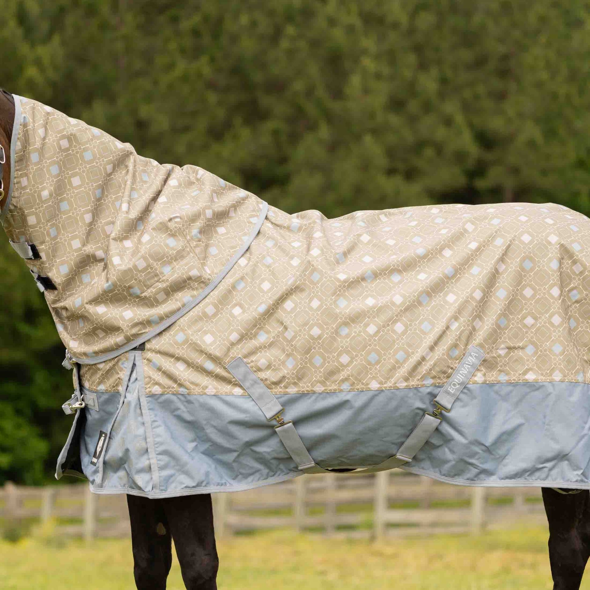 Equinavia Norse Lite Turnout Blanket 100g