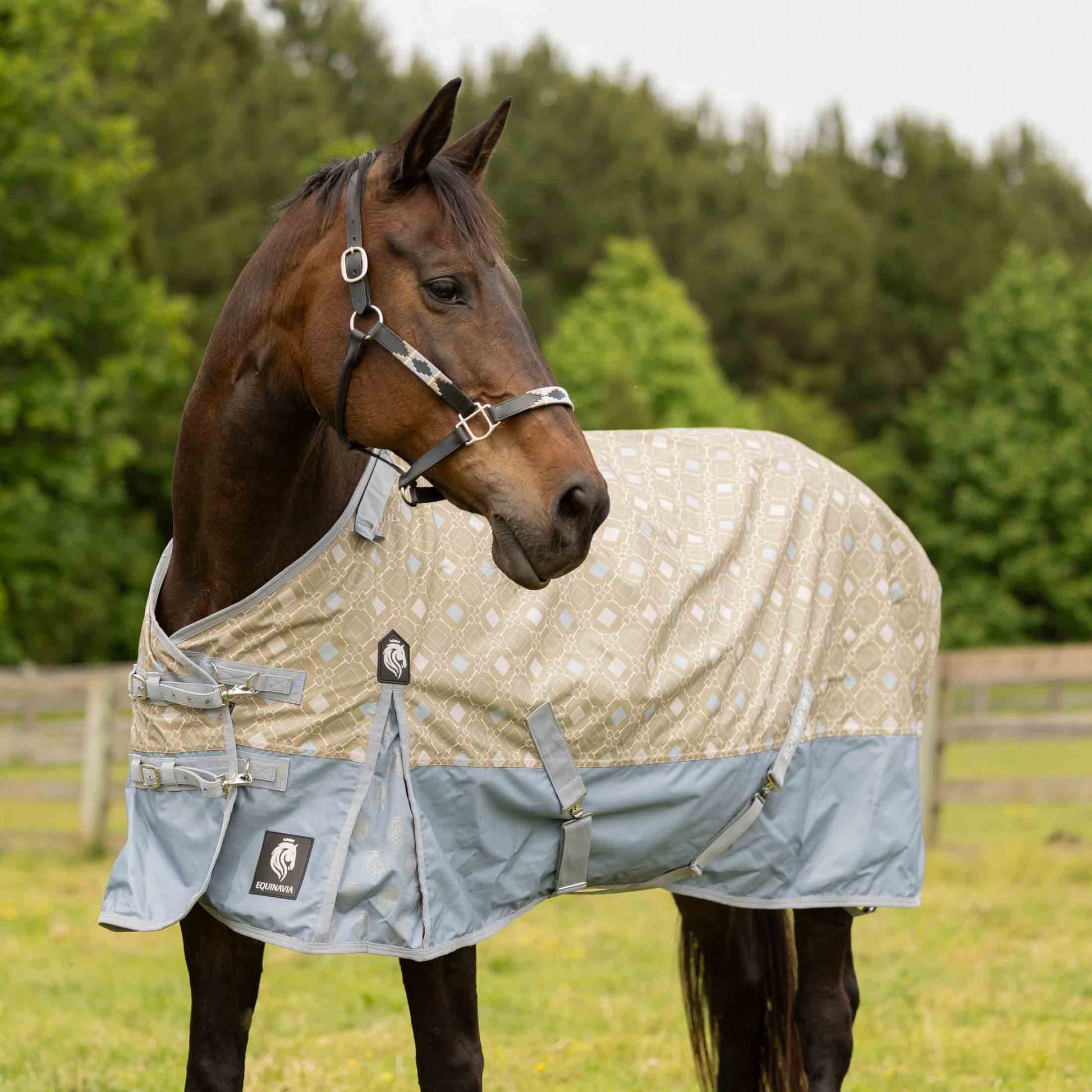 Equinavia Norse Lite Turnout Blanket 100g