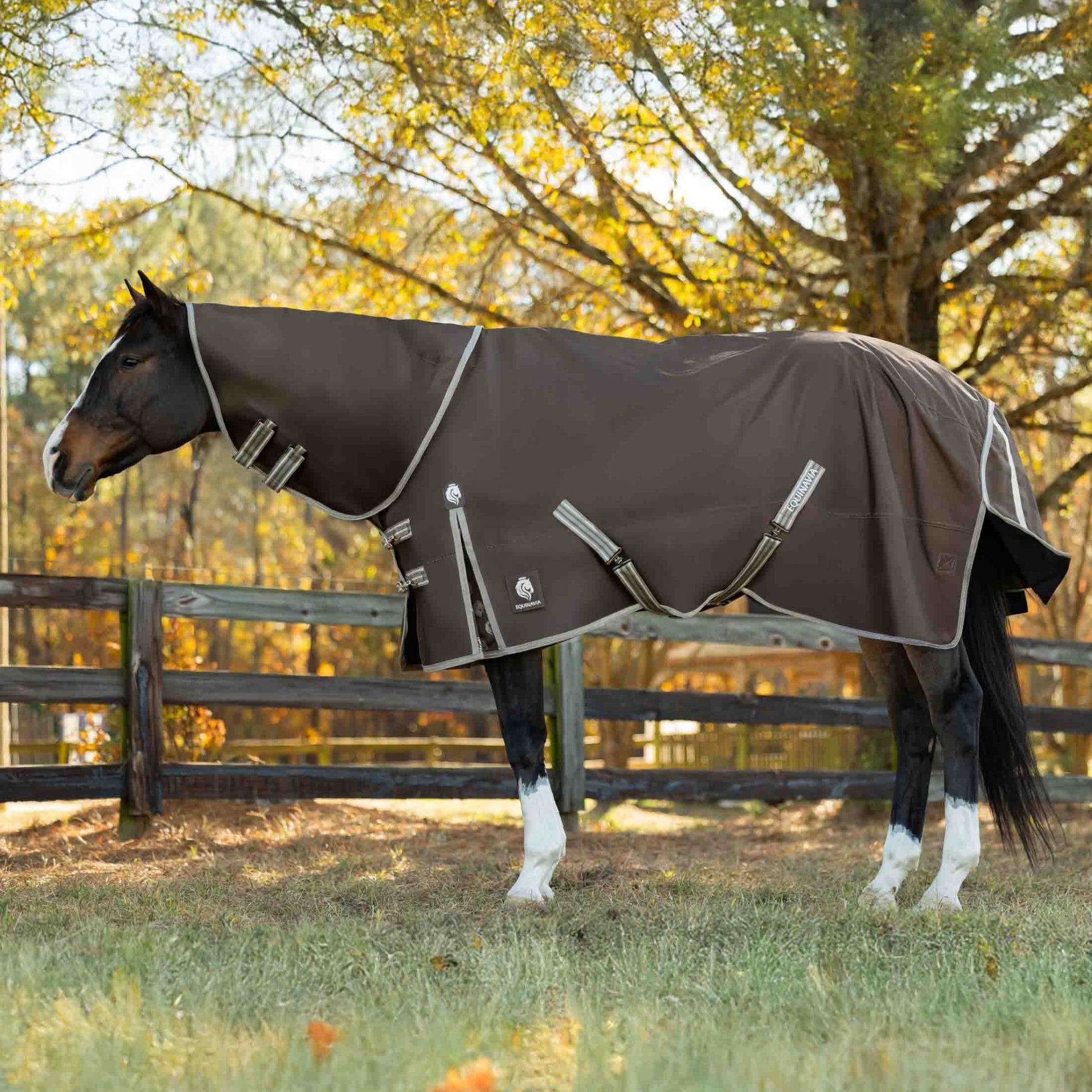 Equinavia Thunder360 Detachable Neck Mid Weight Turnout Blanket 200g
