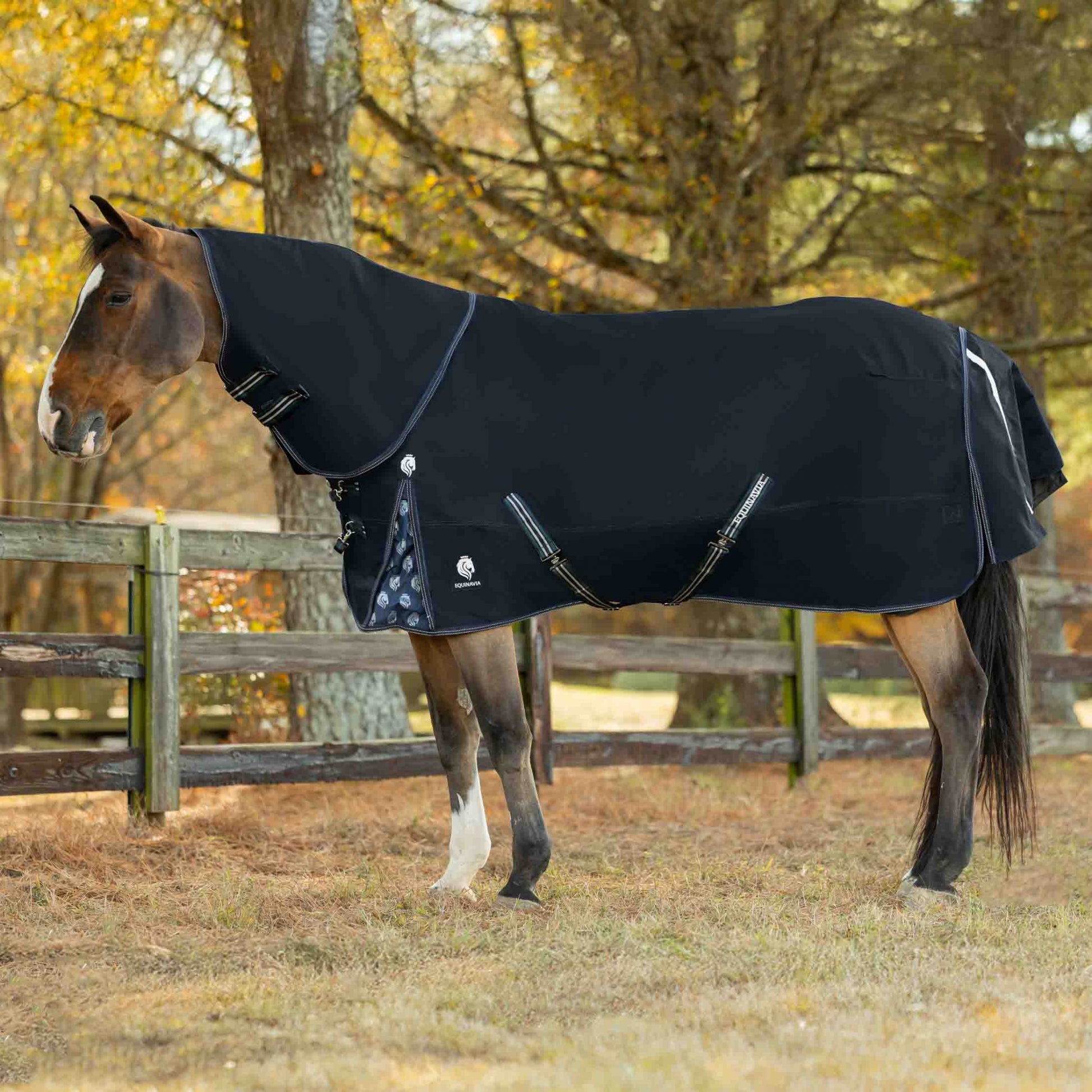 Equinavia Thunder360 Detachable Neck Mid Weight Turnout Blanket 200g