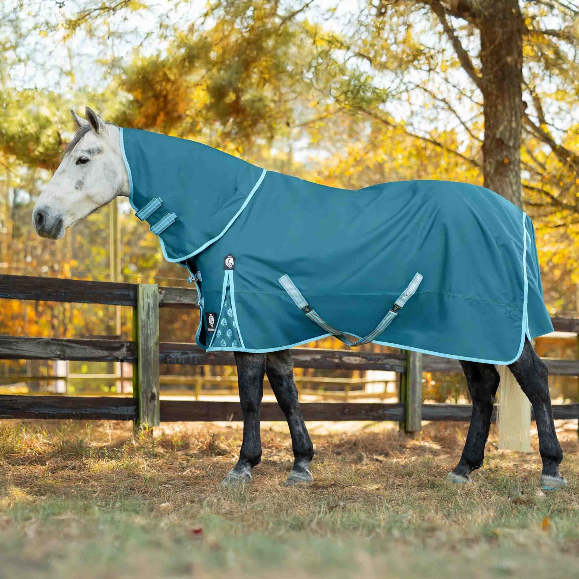 Equinavia Arktis Neck Cover No Fill