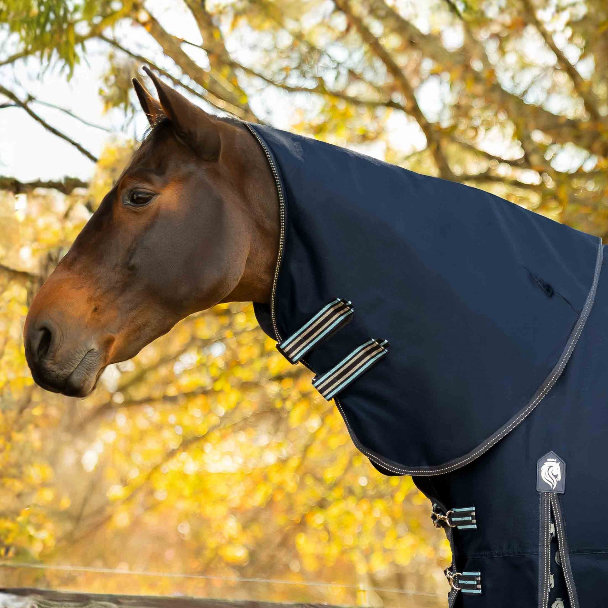 Equinavia Arktis Neck Cover No Fill