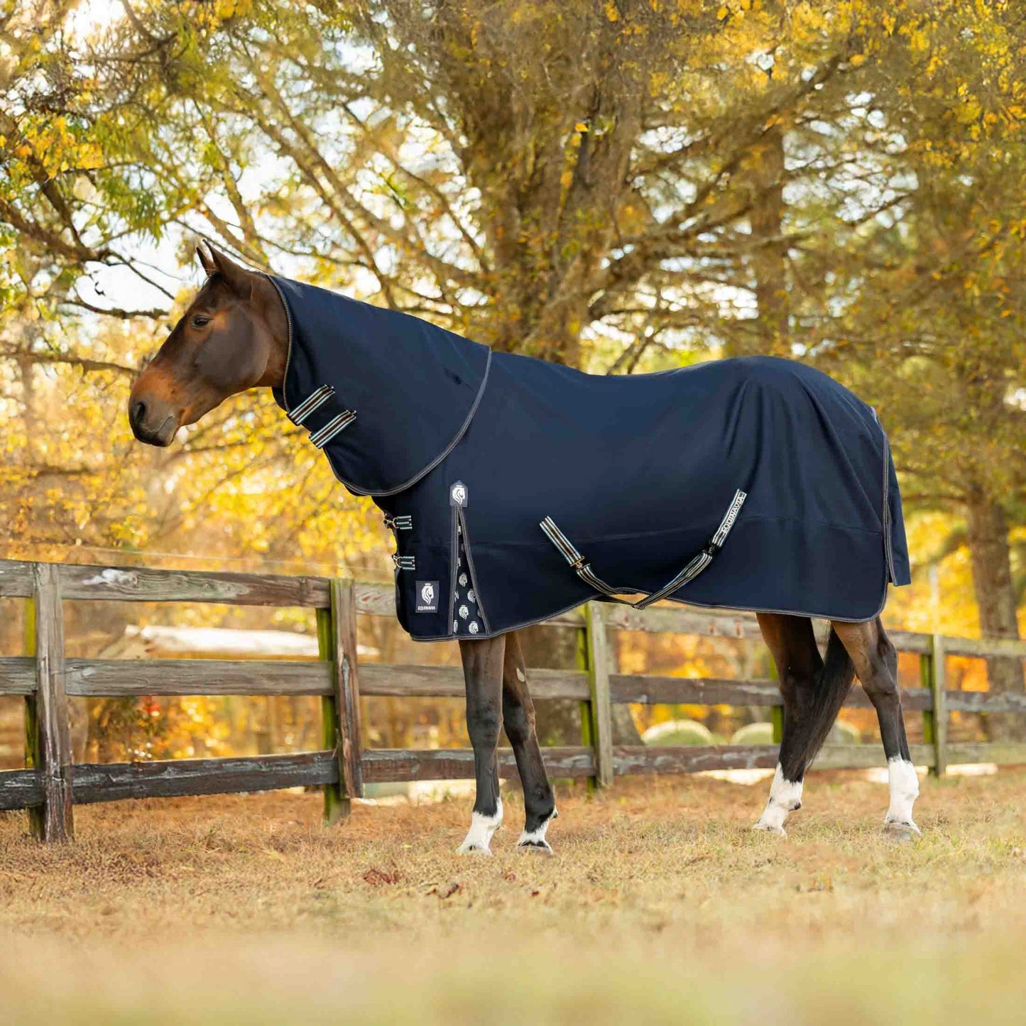 4-530580-02.jpg