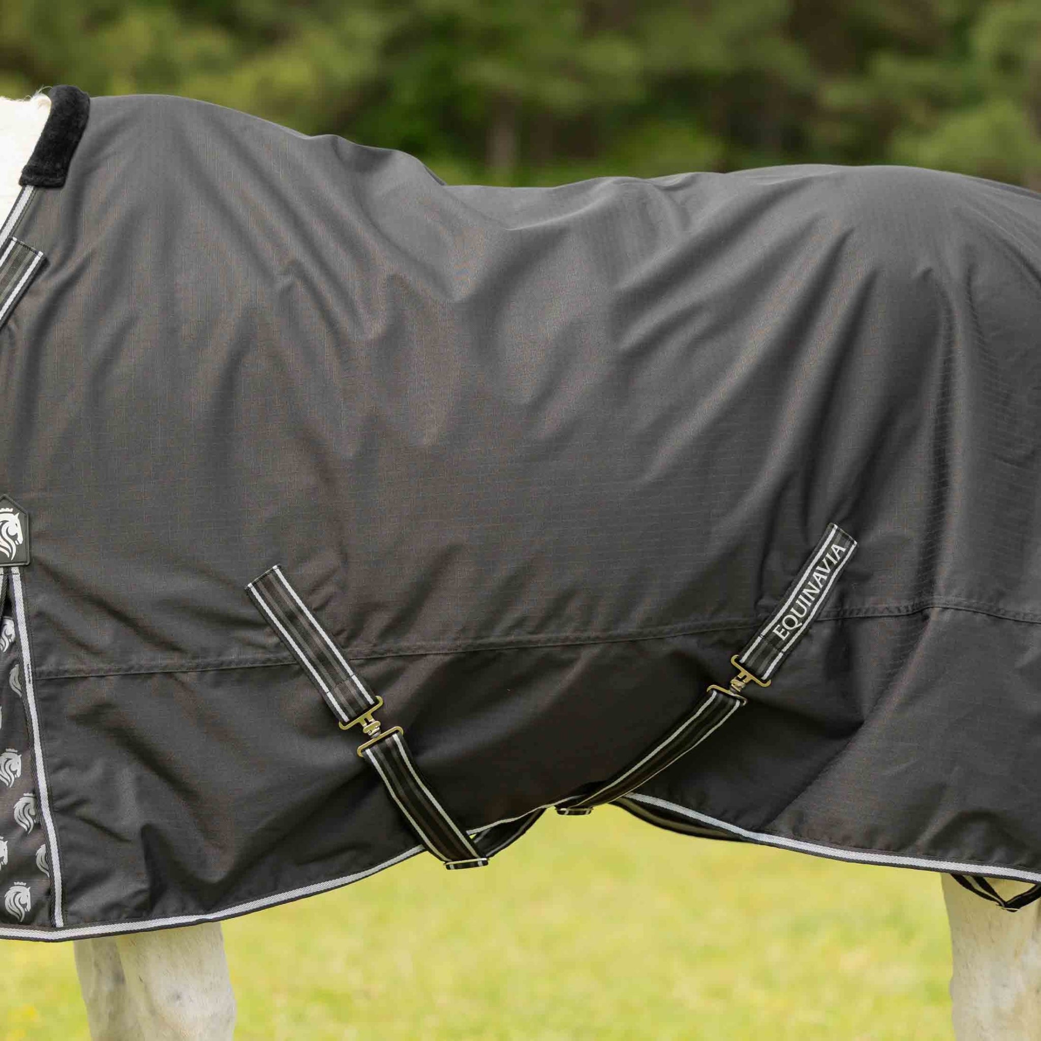 Equinavia Norse Fleece Lined Turnout Blanket