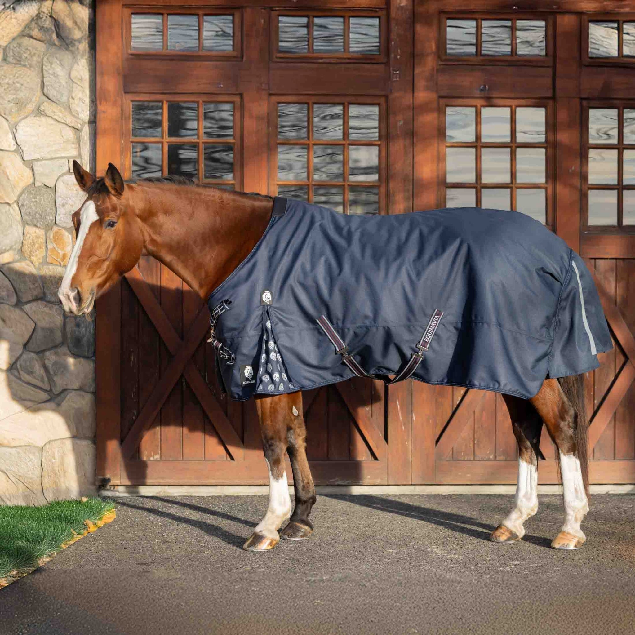 Equinavia Arktis VariFlex Turnout Blanket