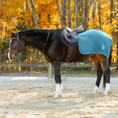 Equinavia Norse Fleece Exercise Quarter Sheet