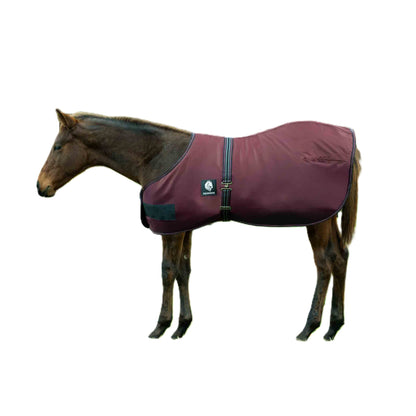 Equinavia Norse Foal Turnout Sheet