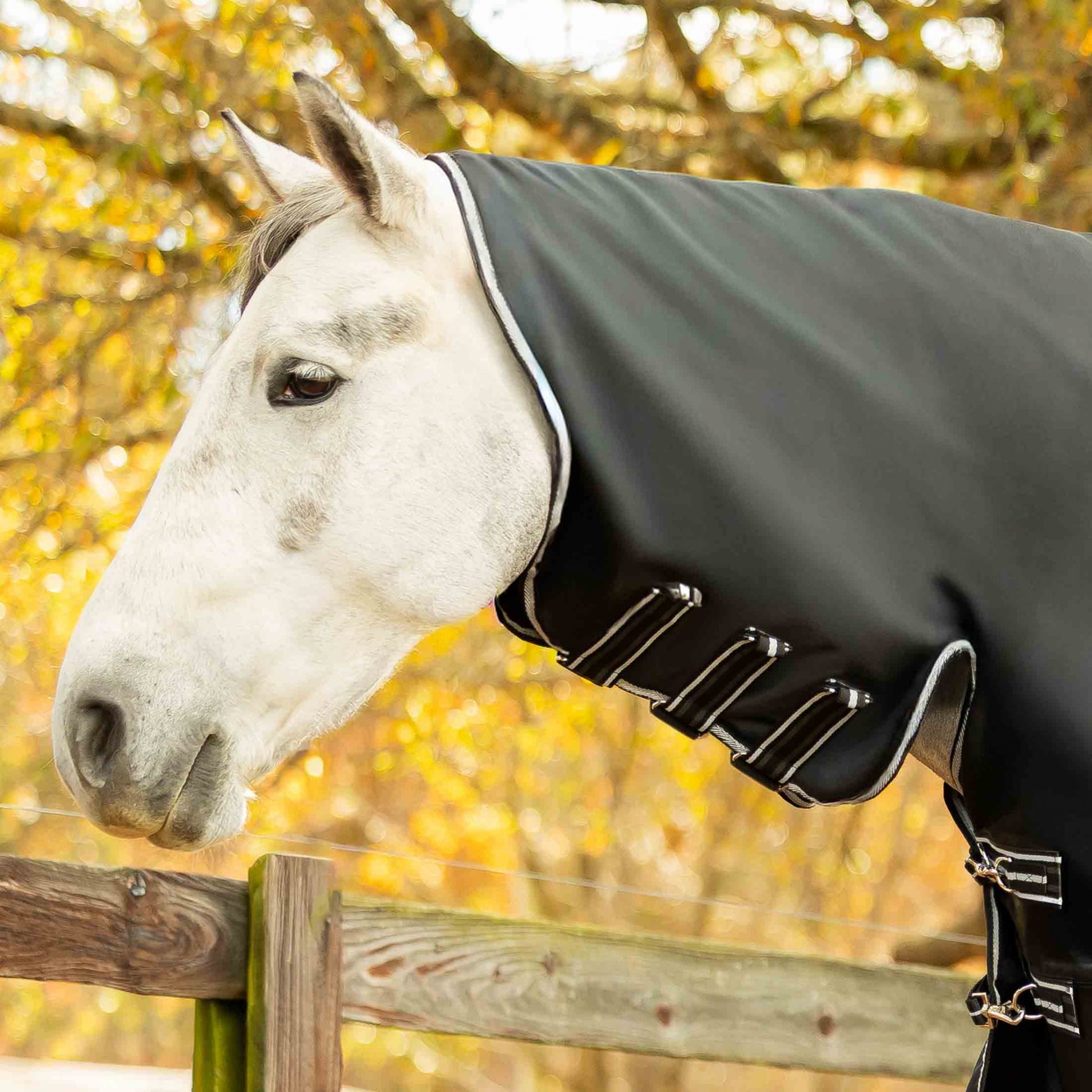 Equinavia Norse Full Neck Turnout Blanket 100g