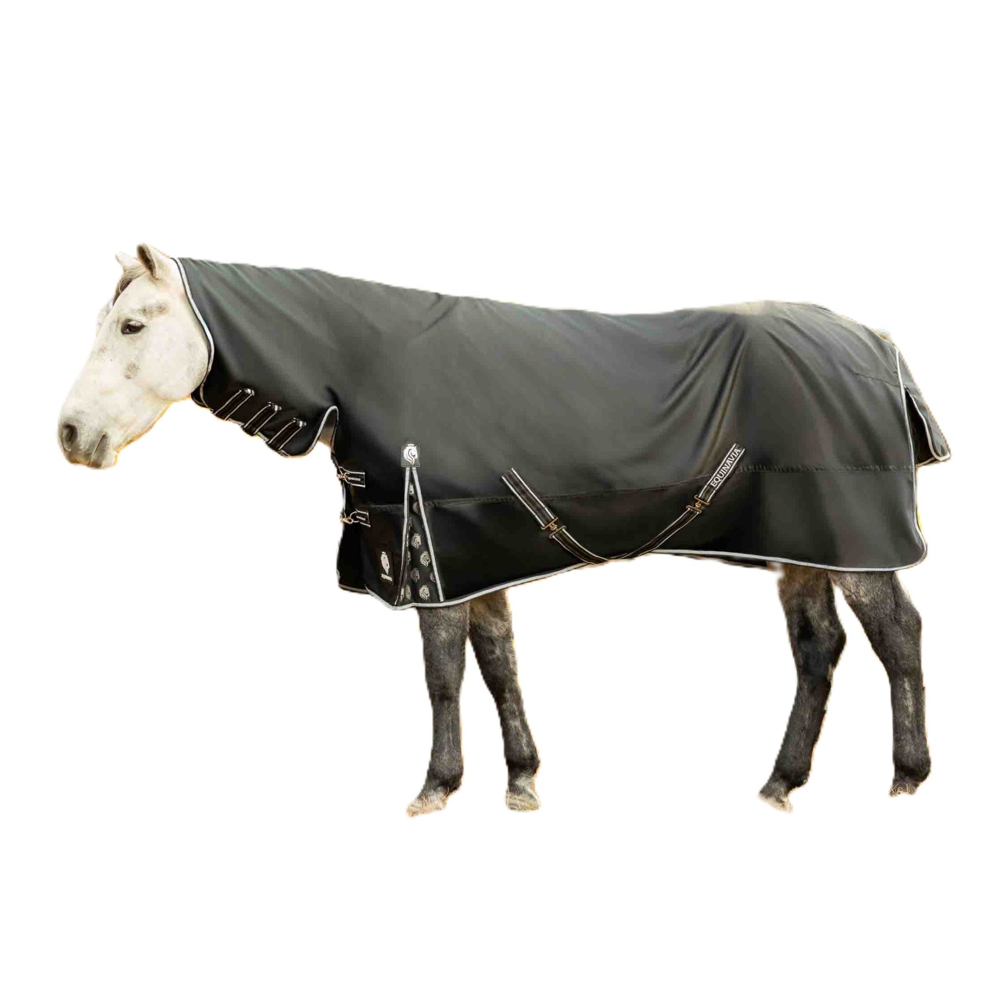 Equinavia Norse Full Neck Turnout Blanket 100g