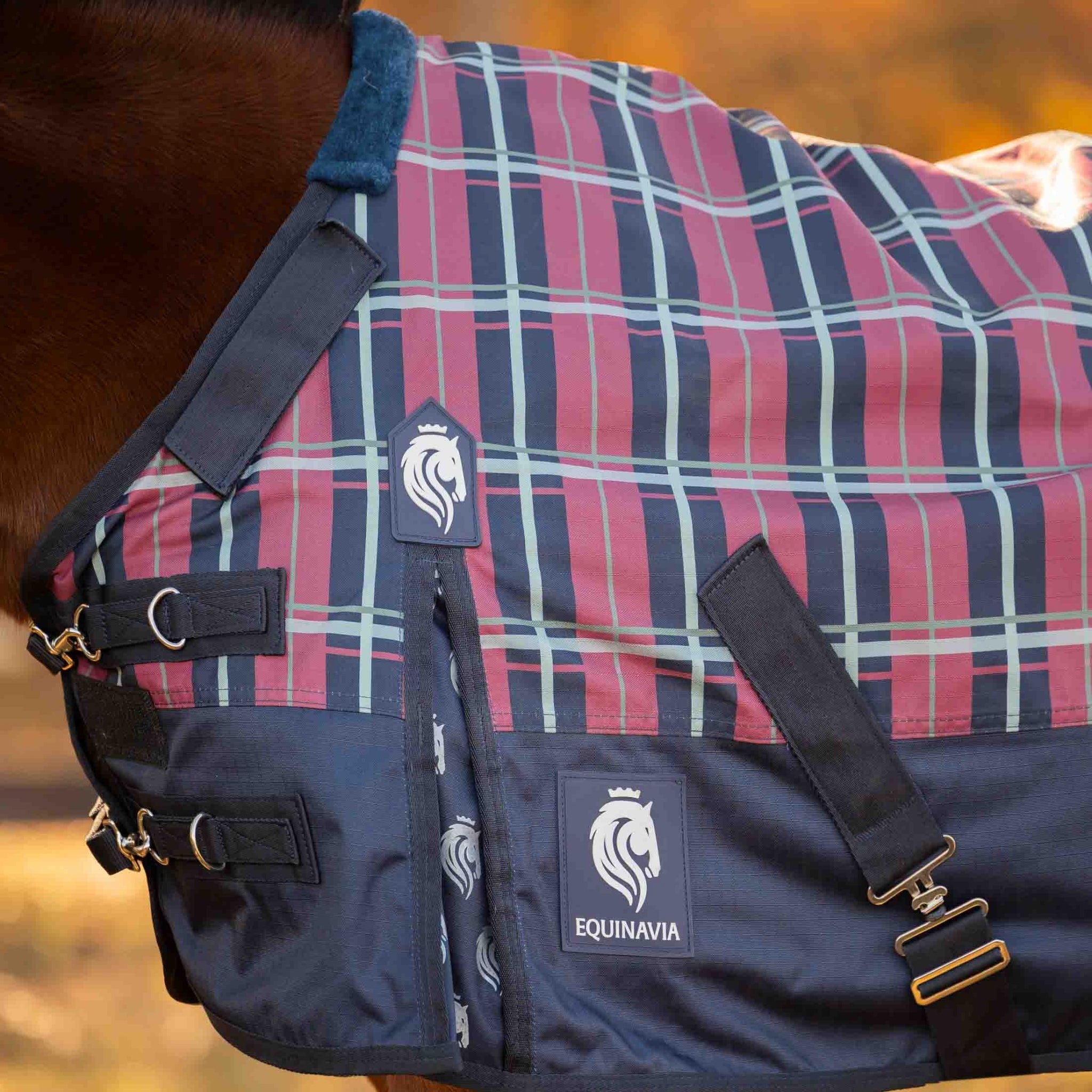 Equinavia Norse Pony Turnout Blanket 300g