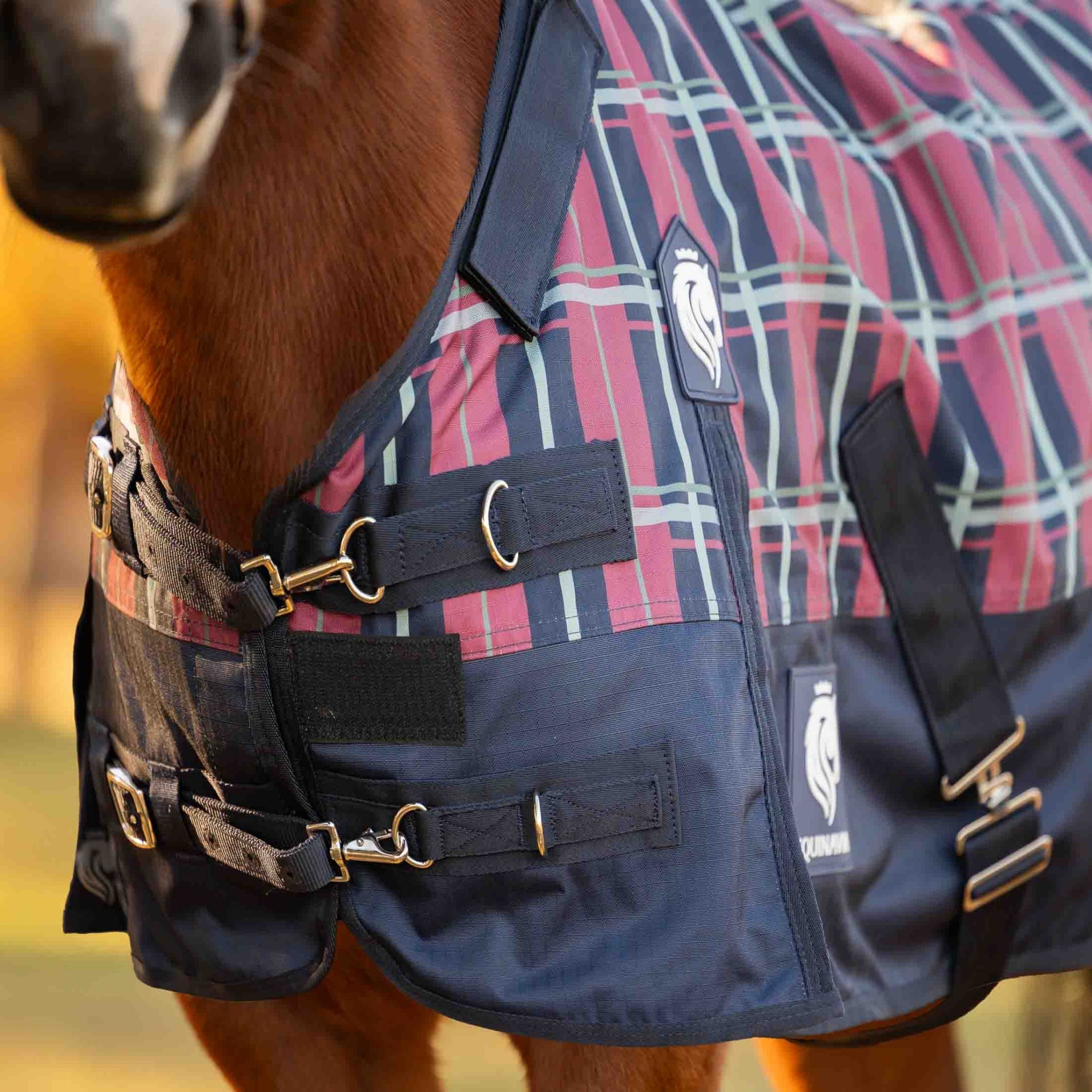 Equinavia Norse Pony Turnout Blanket 300g
