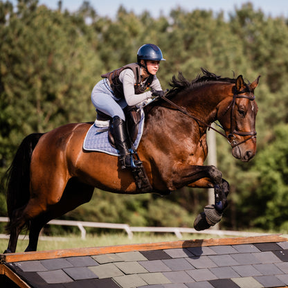 Equinavia Crown Glossy Mips Riding Helmet
