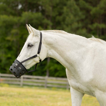 Equinavia Breakaway Grazing Muzzle