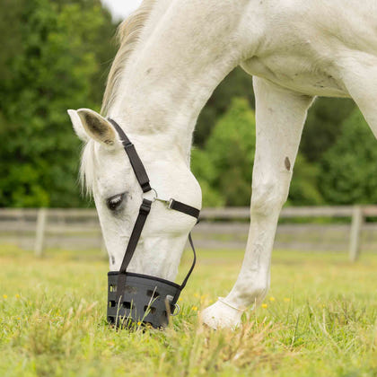 Equinavia Breakaway Grazing Muzzle
